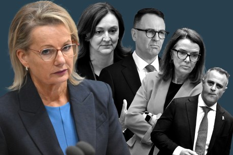 Crunch time for Sussan Ley as Liberals zero in