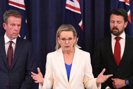 Liberals thumb noses at voters they need to win