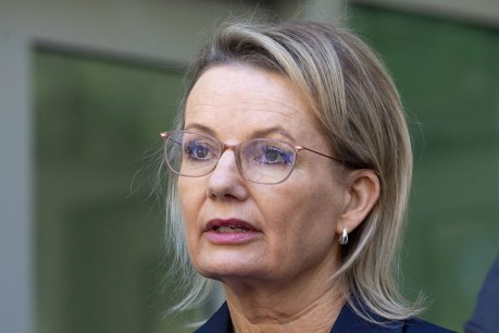 Ley defends Coalition’s divisive climate plan