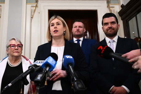 History made as Wilson elected Vic Libs leader