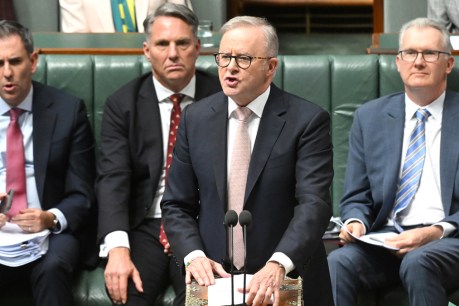 Power for its own sake, and to hell with courage – Labor has lost its way