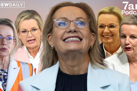 The reasons behind Sussan Ley’s media blitz