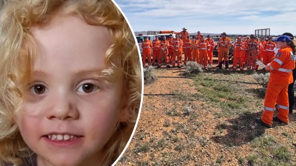 Police declare disappearance of Gus Lamont a ‘major crime’