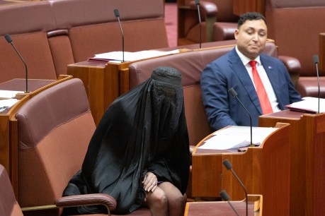 Pauline Hanson barred after burqa stunt