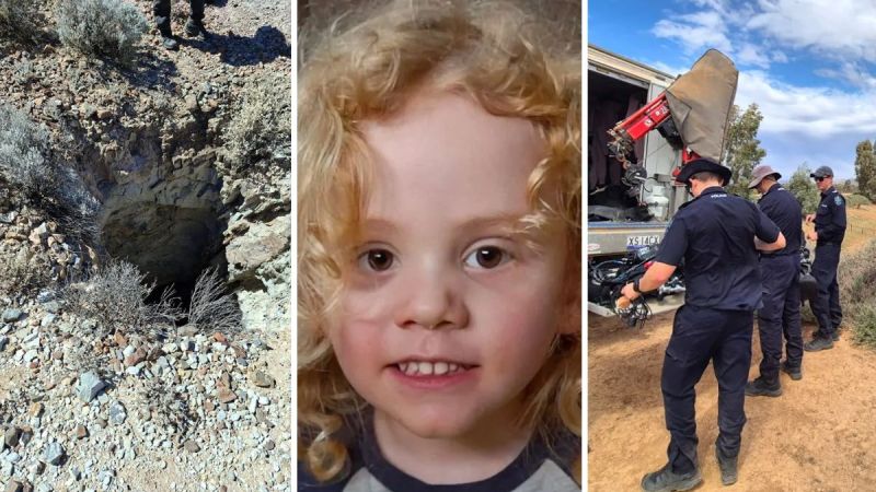 Sad update after latest search for missing Gus