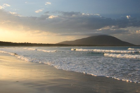 Woman dead, man injured in shark attack