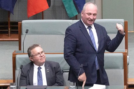 Joyce ditches Nationals, coy on One Nation