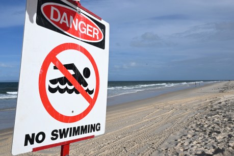 GoPro reviewed after Swiss tourist killed by shark