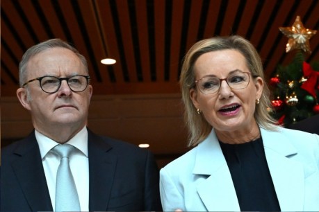 Australia's leaders send festive message of hope