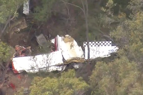 Pilot dies after light planes collide midair