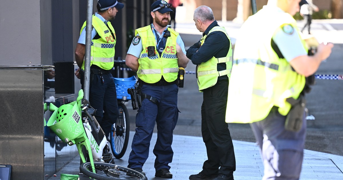Speed limits urged after e-bike rider dies in crash
