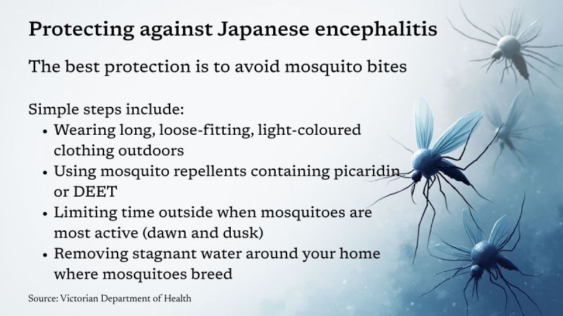 Japanese encephalitis