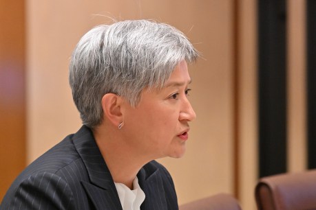 Wong urges Pacific to unite with Aust for sovereignty