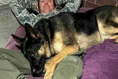 Twist in missing dog case as owner charged over death