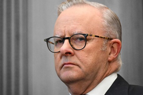 First whispers of discontent for Labor are coming from within