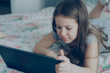 What our under-16s social media ban really means