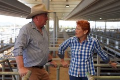 'Fellow travellers': Joyce joins One Nation