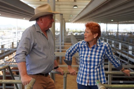 'Fellow travellers': Joyce joins One Nation