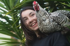 Aldi fails to deliver on cage eggs promise