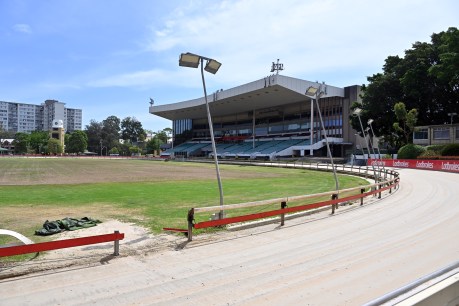 City dog track in fast lane for housing redevelopment