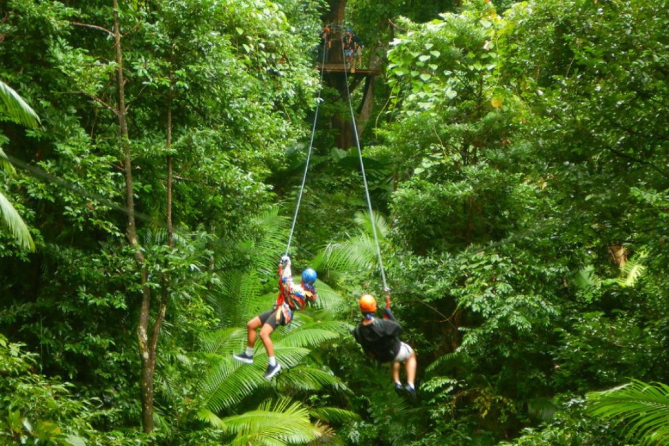 A man died after he and his wife fell up to 25 metres through a rainforest canopy from a zipline.
