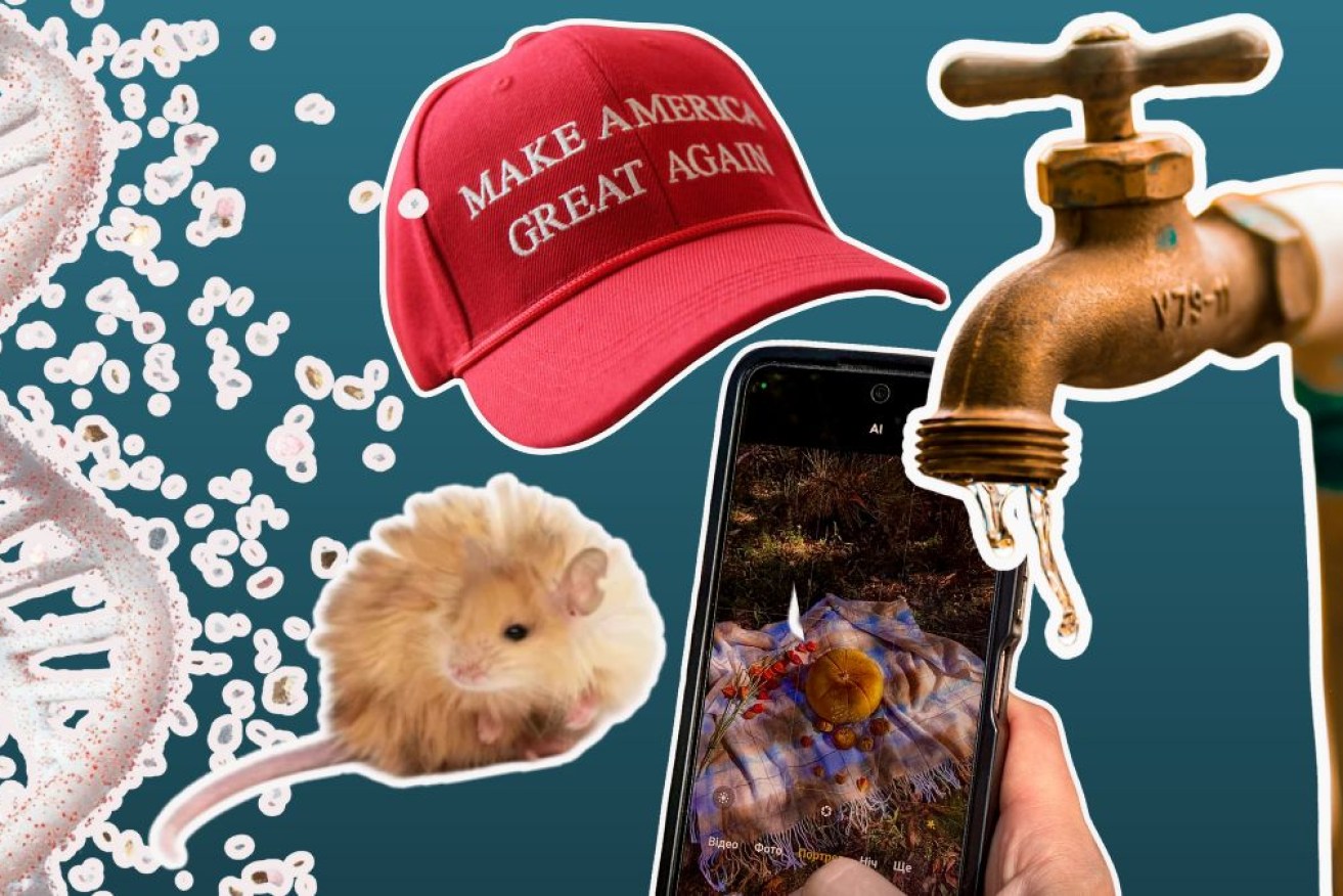 From DNA to MAGA, woolly mice and dodgy tap water, even social media –2025 has been a big year in science.