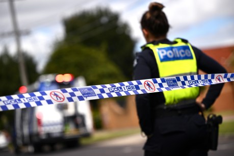 Four killed, three kids injured as minivan crashes