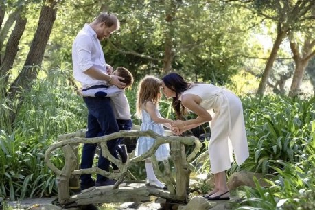 Archie and Lilibet feature on Xmas card
