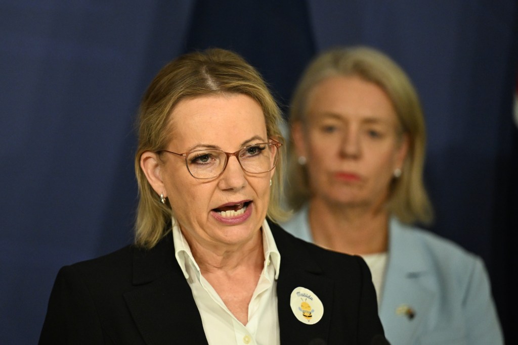 Bondi attack law NSW