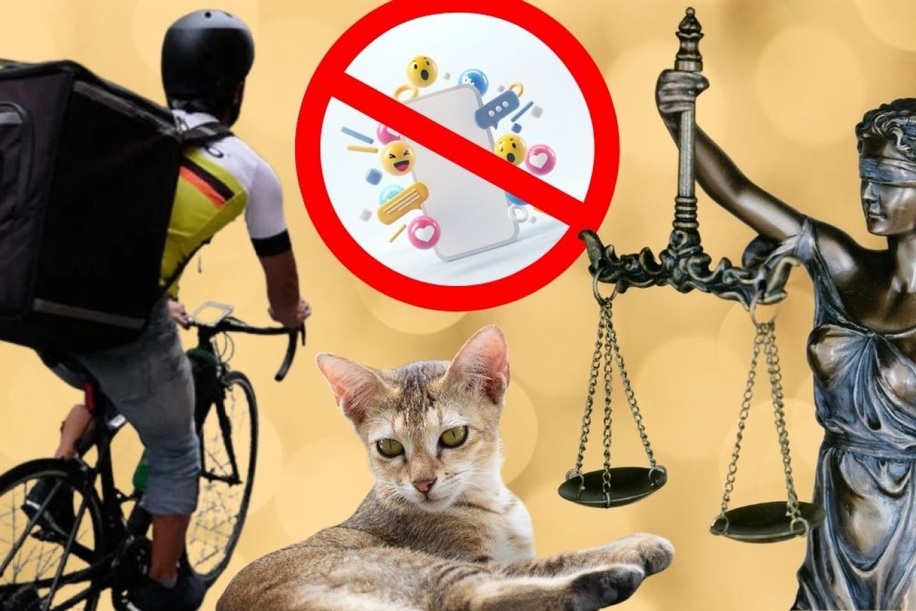 Laws changed around pets, food deliveries and social media in 2025.