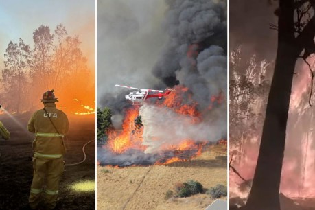 Evacuations as out-of-control bushfires spread