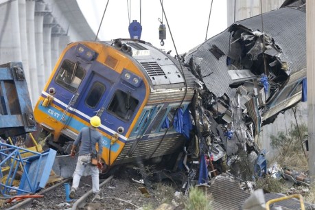 At least 32 killed after crane falls on Thai train