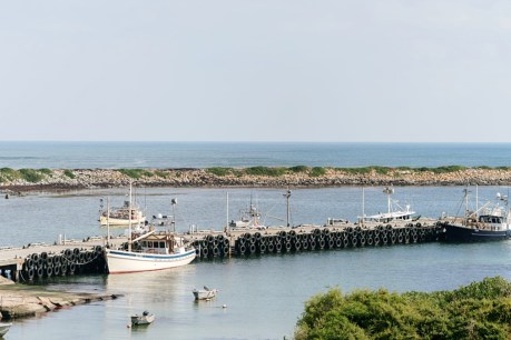Cheese, crayfish, coast: Little island packs a punch