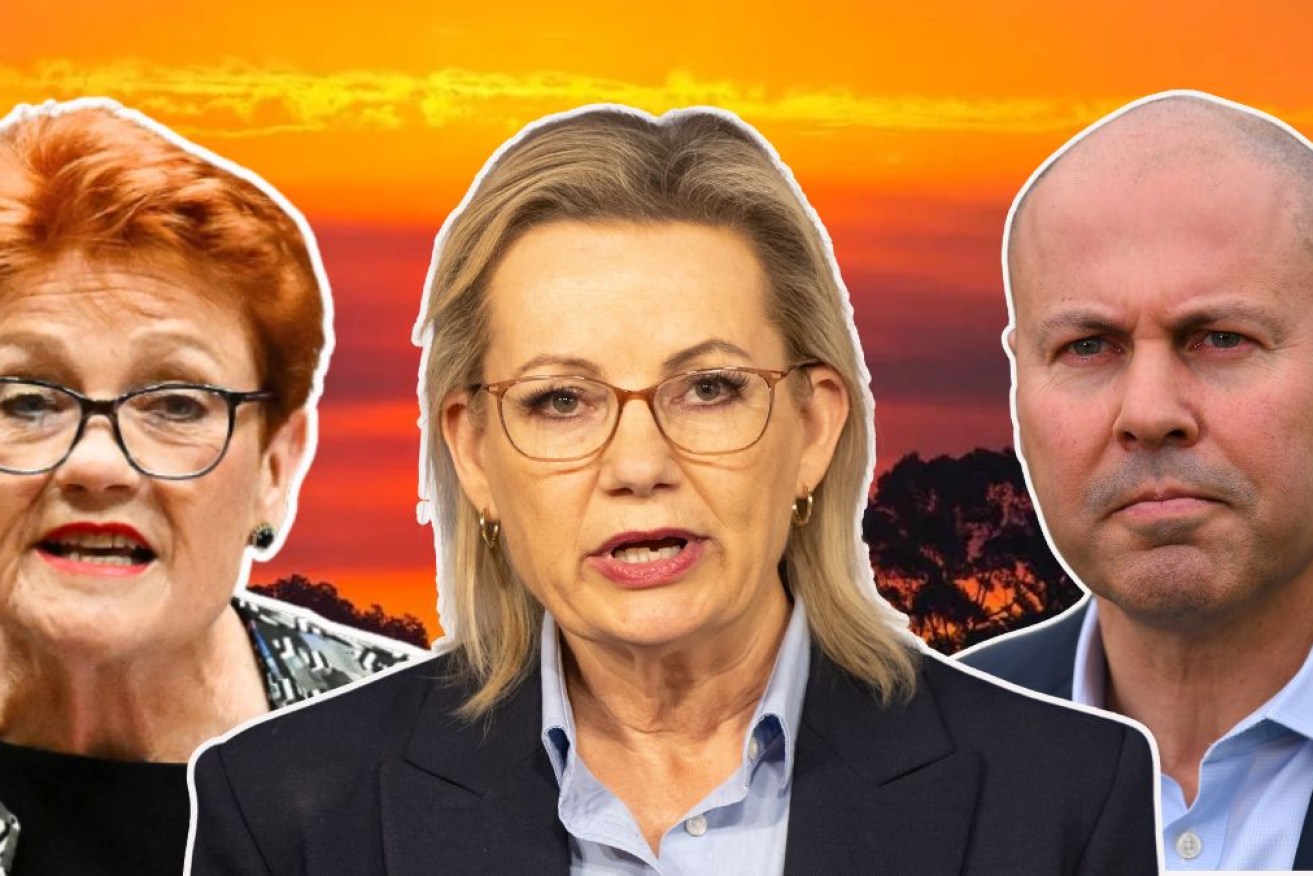 Pauline Hanson is riding high in the polls, at the expense of Sussan Ley's Coalition.