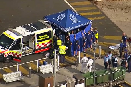 Boy fights for life after attack by ‘large shark’