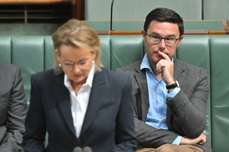 Nationals quit front bench en masse after policy split