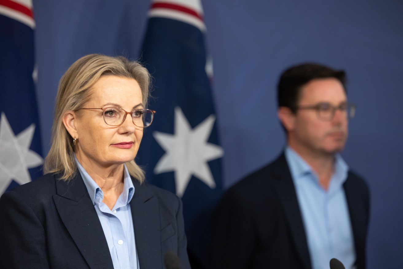 Opposition Leader Sussan Ley now has a coalition mutiny by the Nationals led by David Littleproud.