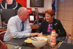 Coalition split could send support to One Nation