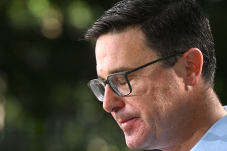 Coalition split hurts Ley, but fault is all Littleproud's