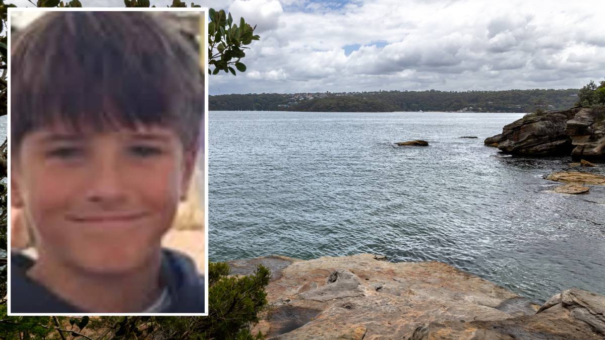 Sydney shark attack die