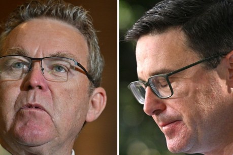 Littleproud faces challenge for Nats leadership