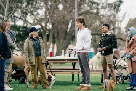 ABC TV ventures into dog parks with new series