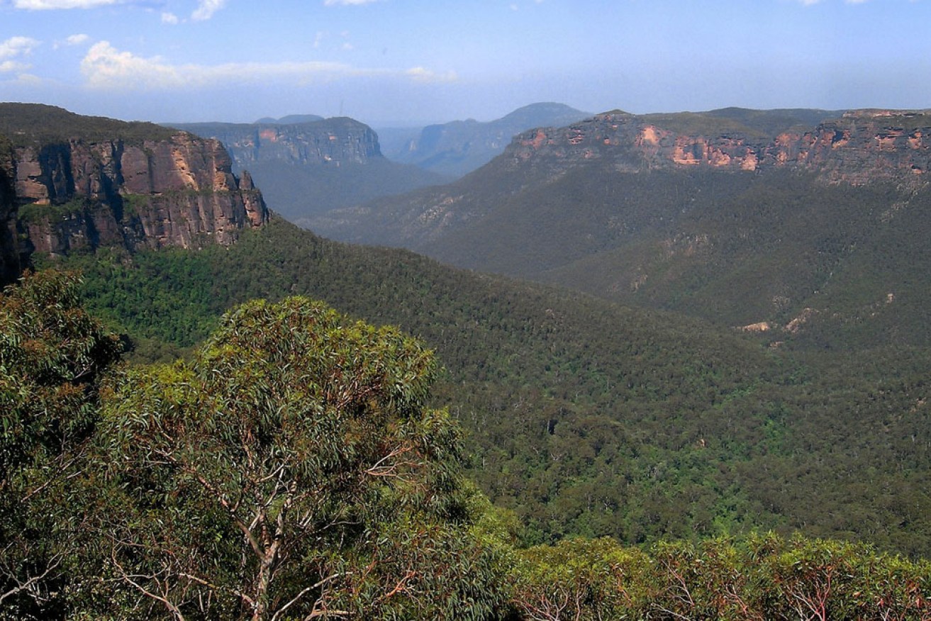 The boys had planned a three-day camping trip in the Blue Mountains. <i>Photo: Wikimedia Commons</i>