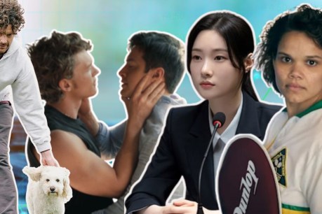 Gay ice-hockey stars and cute dogs: February TV