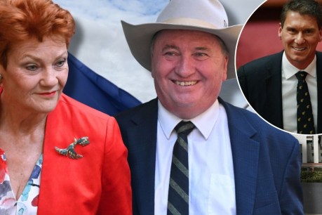 Pauline Hanson reveals new One Nation recruit