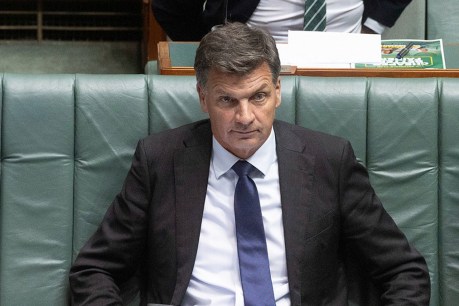 Taylor denies Liberal leadership coup plan