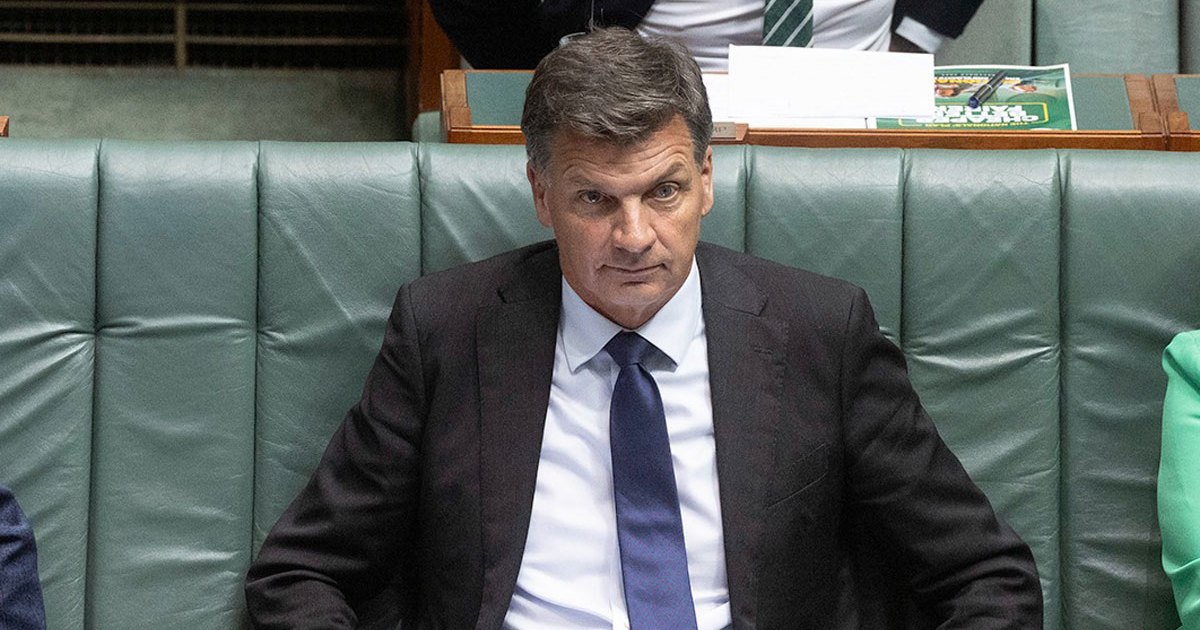 Angus Taylor denies Liberal leadership coup plan
