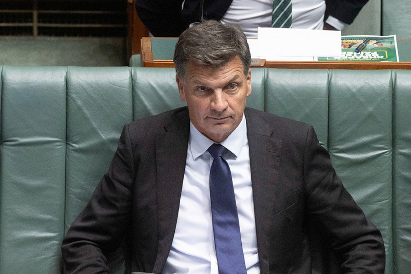 Conservative Angus Taylor is expected to challenge Sussan Ley for the Liberal leadership.