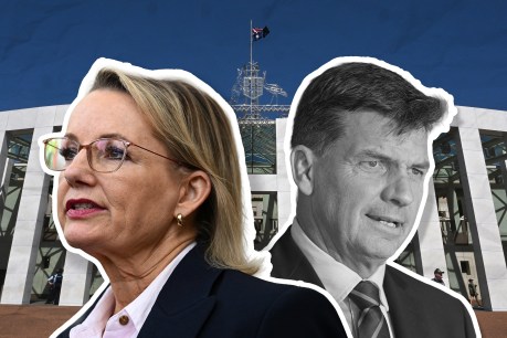 Thumping win for Taylor in Lib leadership vote