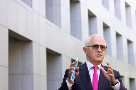 Turnbull: Libs in 'la la land', won't back Taylor